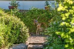 Images for Gooseberry Lane, Keynsham, Bristol